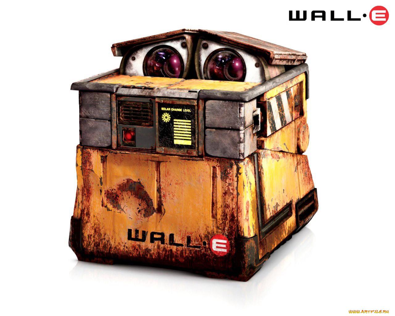 , wall